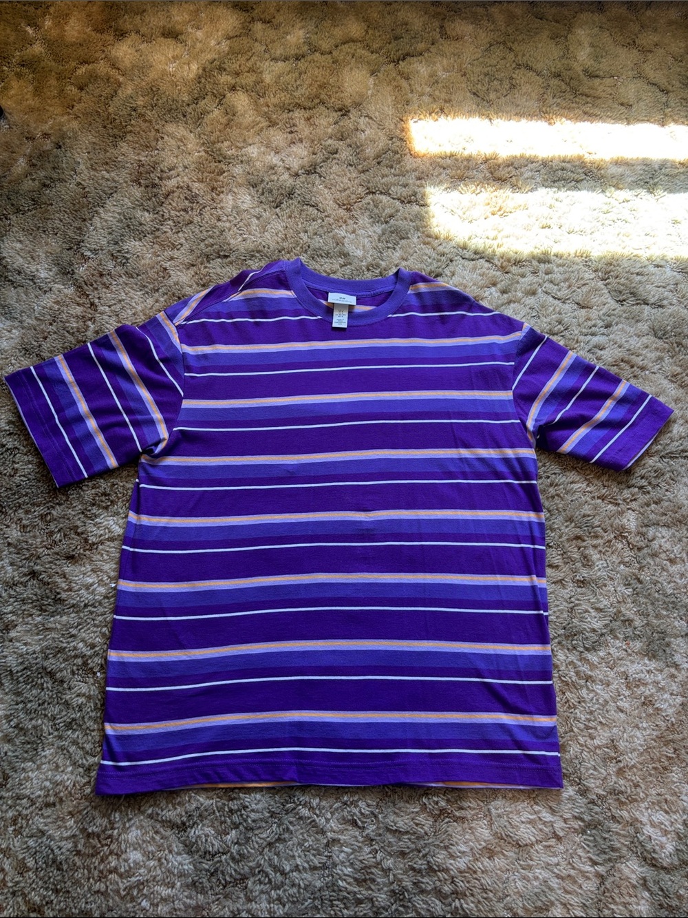 Men's Purple Striped Crew Neck Shirt